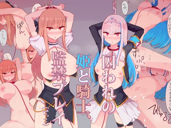 姫と騎士監禁プレイごっこ(にじいろすいしょう) [d_679872]