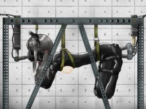 ヒトイヌのお仕事(コナン) [d_680491]