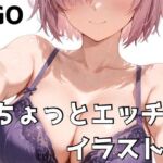 FG◯ ちょっとエッチなイラスト集(NOBLE DOOR) [d_681148]