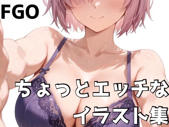 FG◯ ちょっとエッチなイラスト集(NOBLE DOOR) [d_681148]