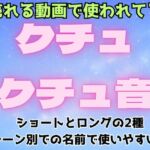 クチュクチュ音【ショートとロングの2種、合計43音！ホワイトノイズ除去済】(フェチリズムセンター♪) [d_682937]