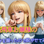 高飛車お嬢様の弱みを握ったので脱がせてみた(WISSENSCHAFT HEILIGEN) [d_683333]