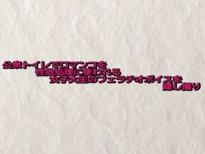 公衆トイレで口マンコを性欲処理に使われる女子大生のフェラチオボイスを隠し撮り(快楽クラブ) [d_683758]