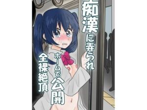 痴●に弄られホームで公開全裸絶頂(はず栗) [d_684872]