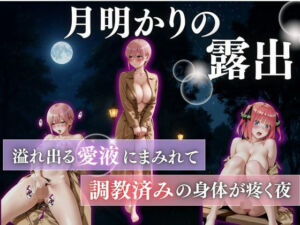 月明かりの露出狂vol.4(禁断ノ声) [d_685048]