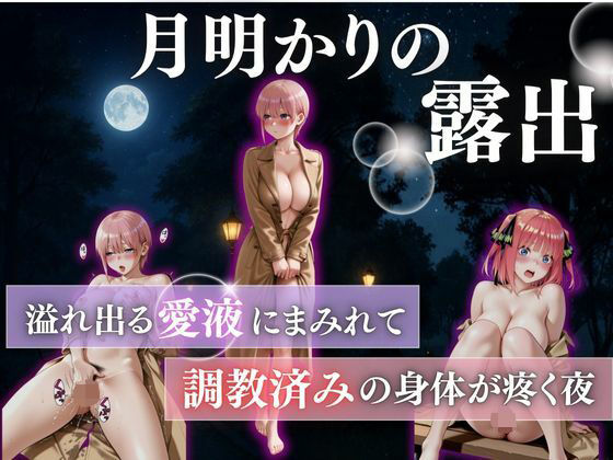 月明かりの露出狂vol.4(禁断ノ声) [d_685048]