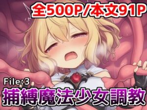 捕縛魔法少女調教File:3〜魔法少女がアクメ魔法と丸？み触手で悶絶イキ○問調教されちゃう話(saltワークス) [d_685243]