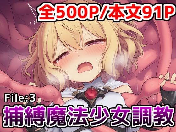 捕縛魔法少女調教File:3〜魔法少女がアクメ魔法と丸？み触手で悶絶イキ○問調教されちゃう話(saltワークス) [d_685243]