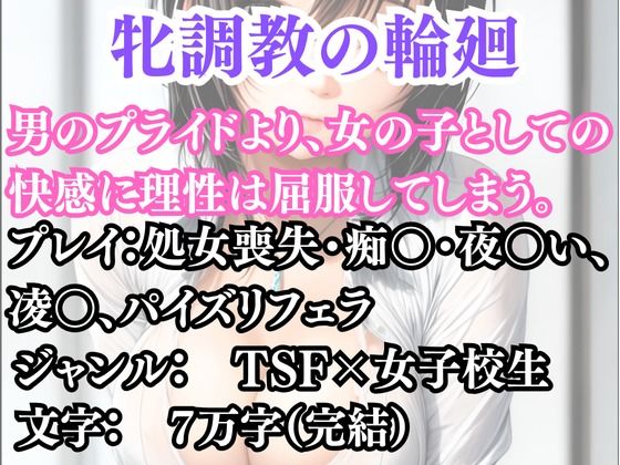 突然美少女にされた俺  牝調教の輪廻(ウィザード) [d_691208]