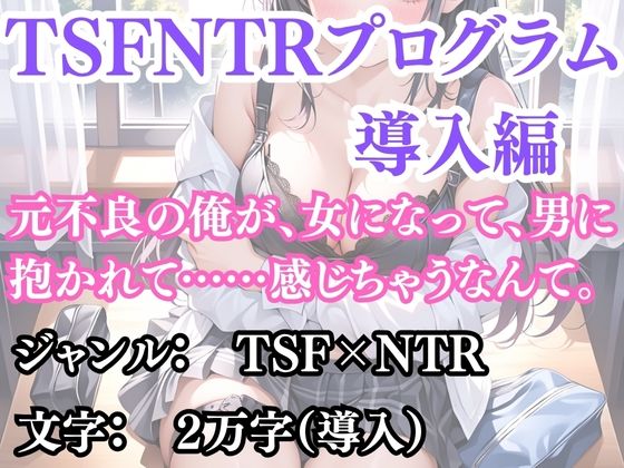 突然美少女にされた俺 TSFNTRプログラム  導入編(ウィザード) [d_692185]