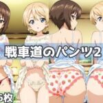 戦車道のパンツ2(五本木ポメ) [d_622470]