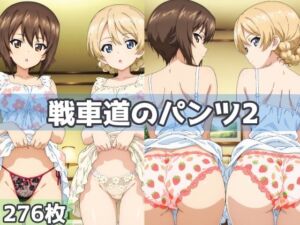 戦車道のパンツ2(五本木ポメ) [d_622470]