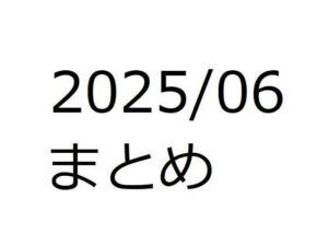 202506作品まとめ パートC(箱熱) [d_658948]