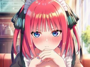 中野ニ〇ちゃんメイド服(美女木ジャンクション) [d_660618]