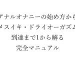 アナルオナニーの始め方から メスイキ・ドライオーガズム 到達まで1から解る 完全マニュアル(メスイキ？ドライオーガズム？研究所) [d_666175]