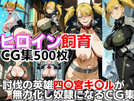 ヒロイン飼育  討伐の英雄四〇宮キ〇ルが無力化し奴●になるCG集(C.C.WORKS) [d_669290]