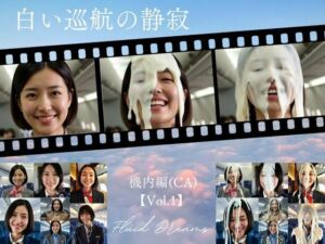 Fluid Dreams 白い巡航の静寂 機内編（CA）(FacialDreams) [d_682486]