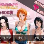 ただひたすらヤるだけ 女海賊 編(しおばなはるの) [d_689158]