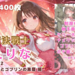 魔法戦士えりな vol.2 触手とゴブリンの巣窟 編(てにおは堂) [d_691062]