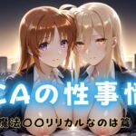 CAの性事情  ― パイロット専用の肉体奉仕  魔法〇〇リリカルなのは編(ぶっかけ太郎) [d_691591]