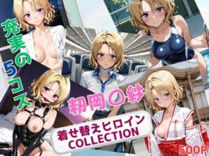 着せ替えヒロインCOLLECTION  ー籾岡〇紗ー(ウンポコロコ) [d_694420]