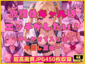 放課後ギャルはエッチがしたい！〜押しかけ入り浸り中出し三昧〜(Cherry Palette) [d_695757]