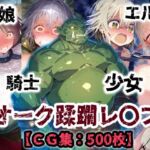 オーク侵略・・・村娘も少女も騎士もエルフも恥辱の敗北アクメ！オーク達の肉便器【CG集500枚】(ぷりずむコメット) [d_695829]