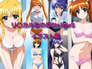 リ〇カルなのはStrikerS イラスト集(DogOne) [d_697517]
