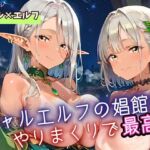 ギャルエルフの娼館は、やりまくりで最高7！200枚(フルーツに語らせたい) [d_698924]