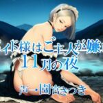 メイド様はご主人が嫌い  11月の夜(近未来のふわふわ) [d_701933]