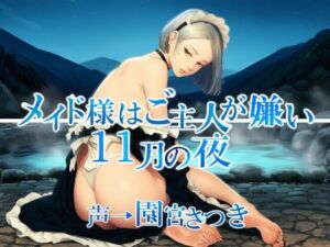 メイド様はご主人が嫌い  11月の夜(近未来のふわふわ) [d_701933]