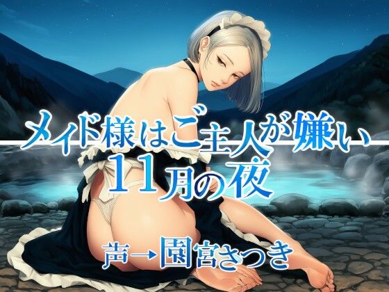 メイド様はご主人が嫌い  11月の夜(近未来のふわふわ) [d_701933]