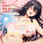 妹コレクション【JK編】(リアルインパクト) [d_702507]