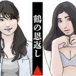 鶴の恩返し(あいうえ男) [d_705230]