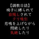 椅子に縛られて目隠しされてクリ吸引  悲鳴を上げながら悶絶したり気絶したり(moon cat) [d_705755]