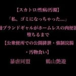 【スカトロ/性病/汚濁】「私、ゴミになっちゃった…」高慢ブランドギャルがホームレスの肉便器に堕ちるまで【公衆便所での公開排泄・強●浣腸・汚物食い】(暴虐同盟) [d_706567]