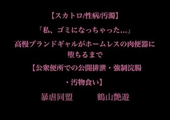 【スカトロ/性病/汚濁】「私、ゴミになっちゃった…」高慢ブランドギャルがホームレスの肉便器に堕ちるまで【公衆便所での公開排泄・強●浣腸・汚物食い】(暴虐同盟) [d_706567]