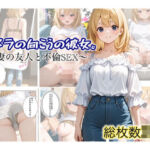 カメラの向こうの彼女。〜妻の友人と不倫SEX〜(スチームブック) [d_691614]