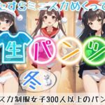 【アニメ49分】冬にひたすらミニスカめくって生パンツ！ミニスカートの制服を着た女の子300人以上がパンティーを見せてくれる、妄想の世界での雪が舞う冬景色！ふわふわな雪色の純白ショーツやトランクスから、紺色ブルマやスパッツっぽい下着まで！大胆な女の子から、ツンデレでなかなか見せてくれない女の子まで！現実の世界での街中では、絶対にこんなことをしないでくださいね！！(ひろぴょん工房) [d_704103]