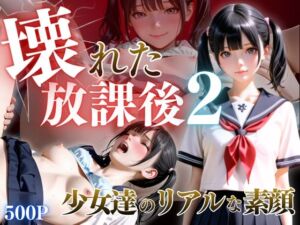 壊れた放課後2(ひみつ基地) [d_704588]