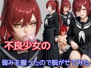 不良少女の弱みを握ったので脱がせてみた(WISSENSCHAFT HEILIGEN) [d_704903]