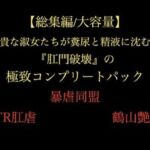 【総集編/大容量】全21作品！！ 高貴な淑女たちが糞尿と精液に沈む…『肛門破壊』の極致コンプリートパック(暴虐同盟) [d_705585]