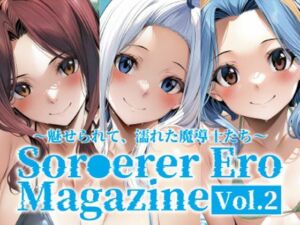 Sor○erer Ero Magazine Vol.2〜魅せられて、濡れた魔導士たち〜(すふぃあ) [d_705644]
