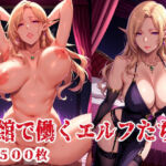 娼館で働くエルフたち2(ブービータン) [d_707509]