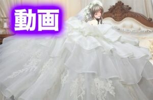 ドレス快楽は騎乗位で（ドレス美少女47）(Dresscco) [d_712583]