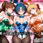 キセカエオナペット -美少女戦士セーラ◯ムーン篇-(愛玩ファクトリー) [d_712971]