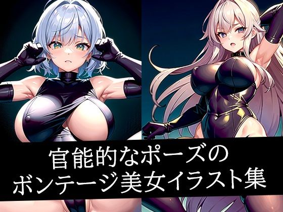 官能的なポーズのボンテージ美女イラスト集(あらたると) [d_516349]