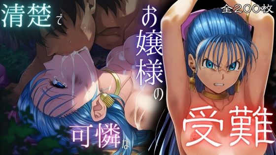 清楚で可憐なお嬢様の受難(ARU117) [d_688152]