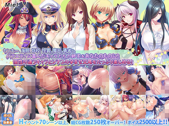 【新春福袋】色んなキャラに種付けしたい！お得な孕ませ詰め合わせ福袋！(Norn/Miel/Cybele) [d_711815]