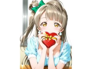 ラヴライヴ  ことりちゃんパック(あんバター) [d_713983]